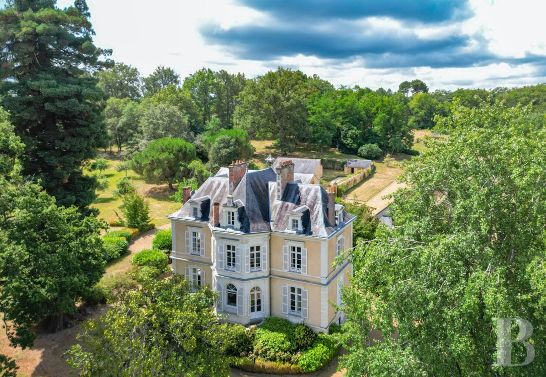 chateaux for sale France pays de loire   - 18