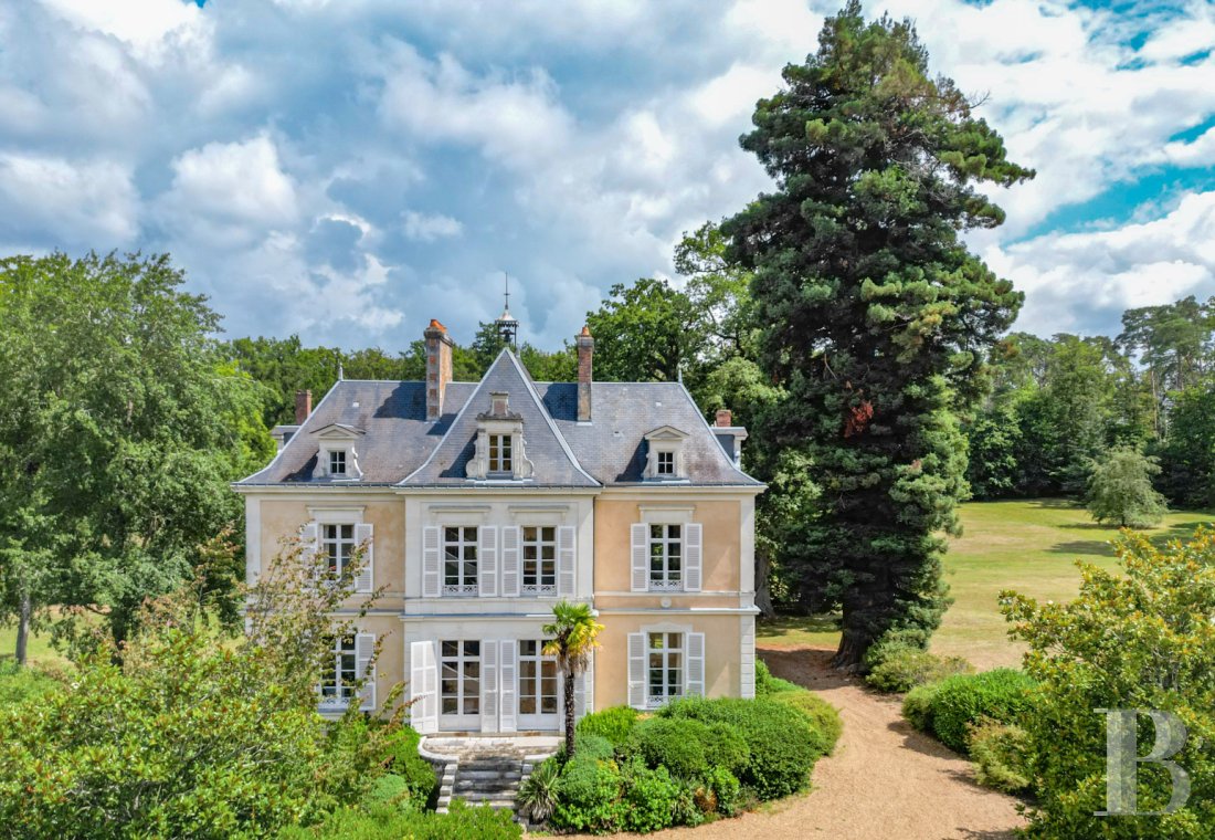 chateaux a vendre pays de loire   - 1