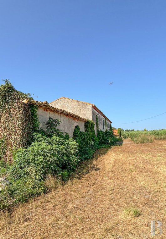 ruins for sale France languedoc roussillon   - 9