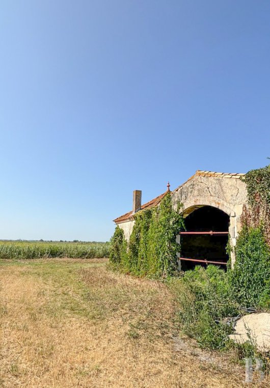 ruins for sale France languedoc roussillon   - 8