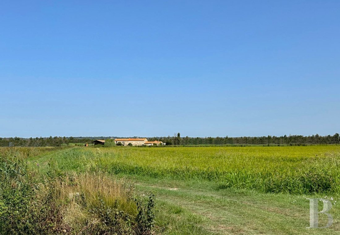 ruines à vendre - languedoc-roussillon - Au milieu des rizières de Camargue, à l'écart de toute nuisance,  un mas rural du 19e s. à restaurer en totalité, sa vue à 360° et ses 2 ha