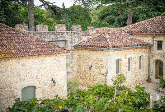 chateaux a vendre midi pyrenees   - 8