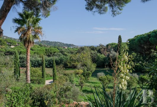 character properties France provence cote dazur   - 20