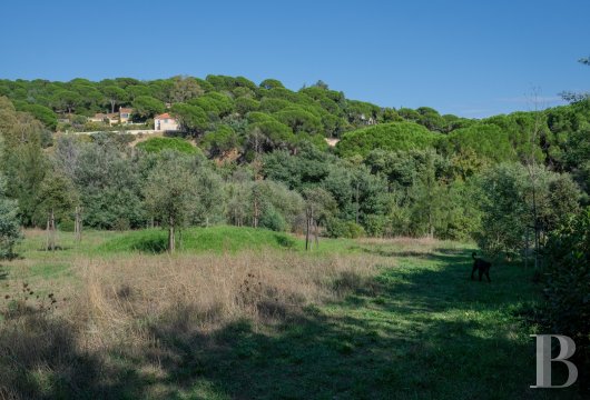 character properties France provence cote dazur   - 19