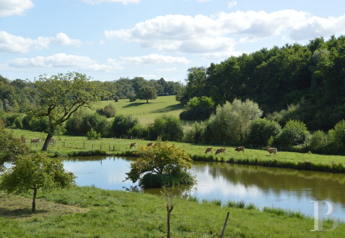 manoirs a vendre lorraine   - 13