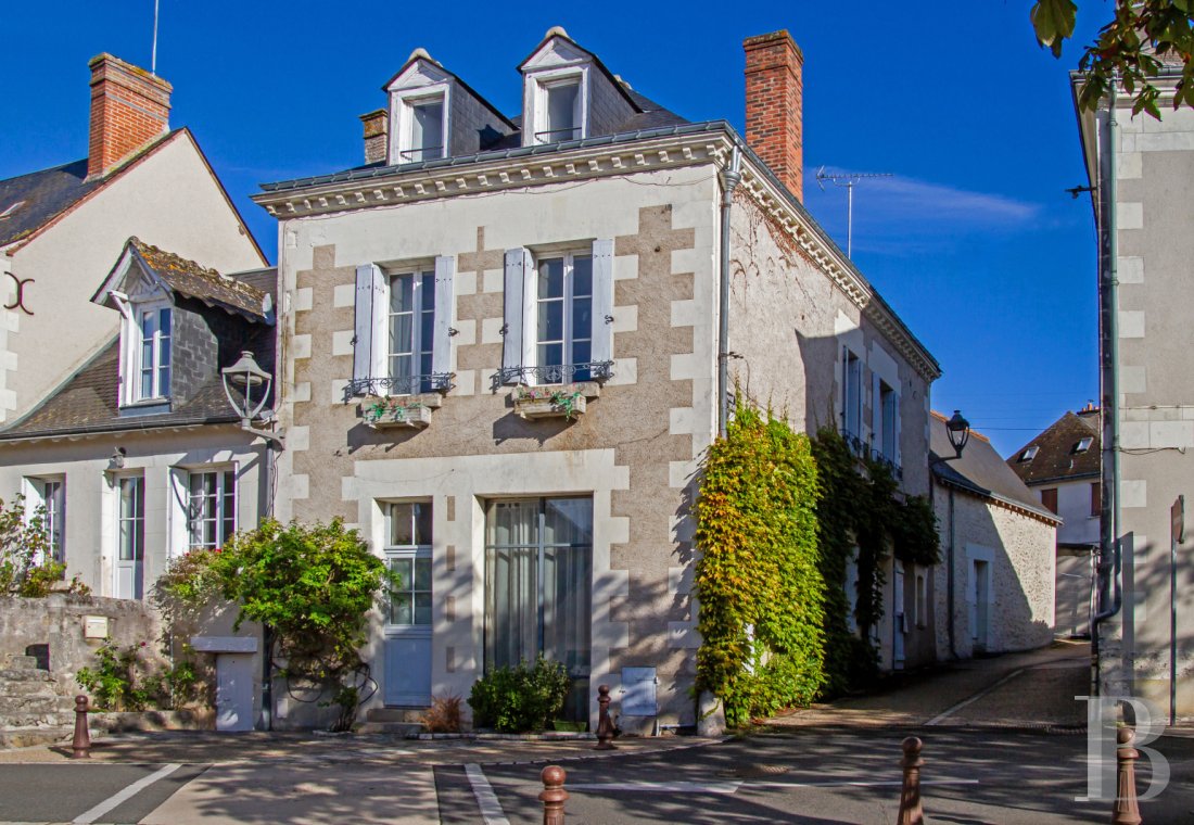 properties in town center val de loire   - 1