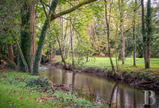 France mansions for sale poitou charentes   - 17