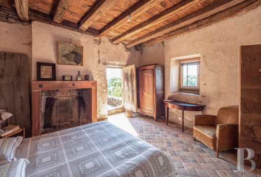 chateaux for sale France auvergne   - 10
