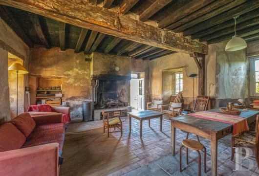 chateaux for sale France auvergne   - 14