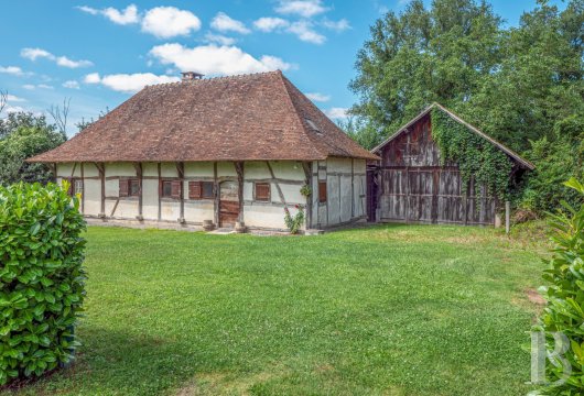 chateaux for sale France auvergne   - 18