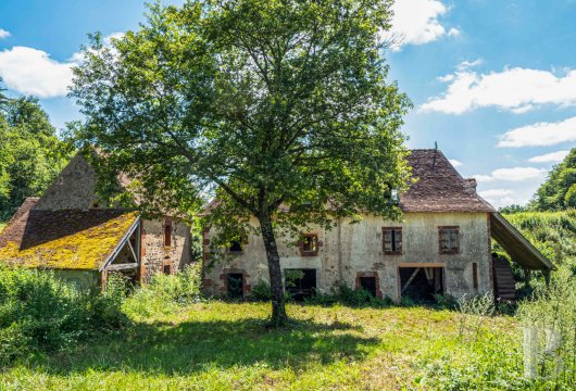 chateaux for sale France auvergne   - 20