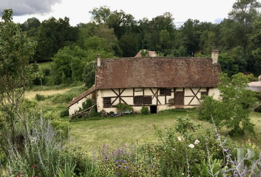 chateaux for sale France auvergne   - 17