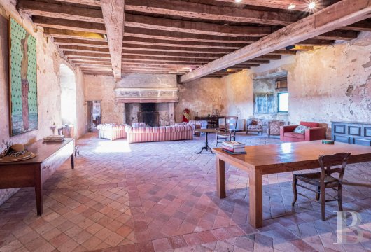 chateaux for sale France auvergne   - 6