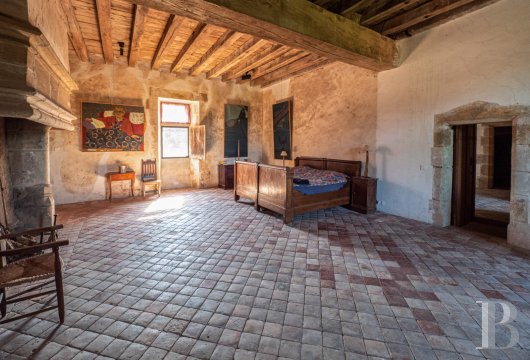 chateaux for sale France auvergne   - 11