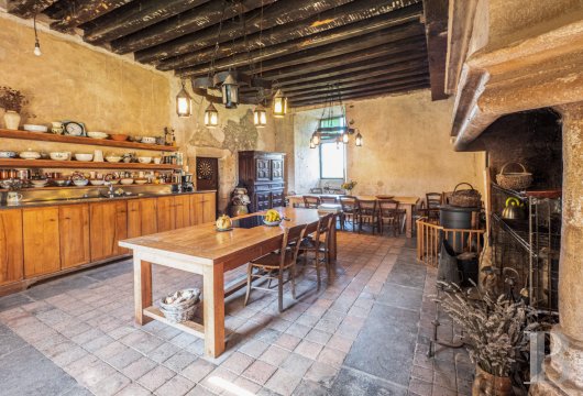 chateaux for sale France auvergne   - 8