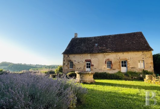 chateaux for sale France auvergne   - 16