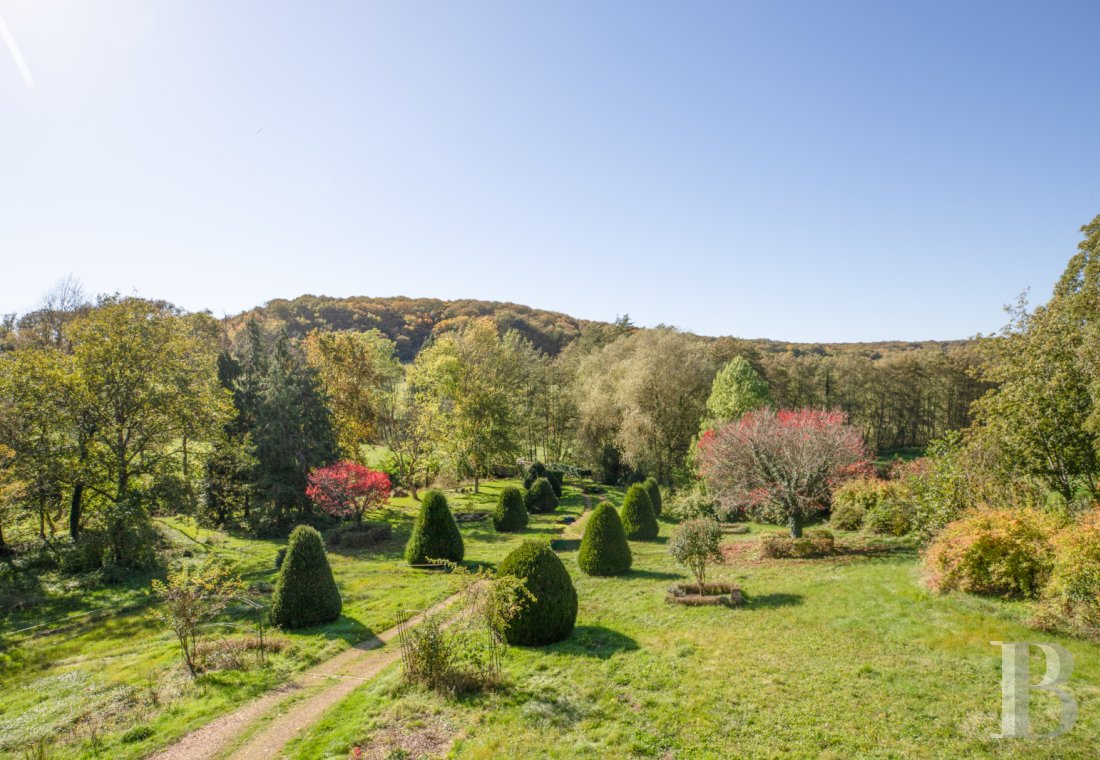 France mansions for sale burgundy   - 1