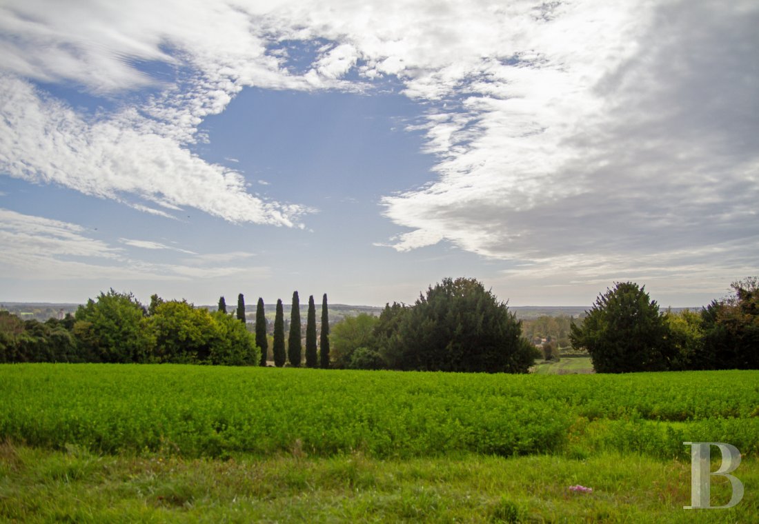 chateaux for sale France poitou charentes   - 14