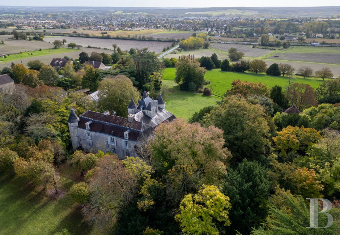 chateaux for sale France poitou charentes   - 1