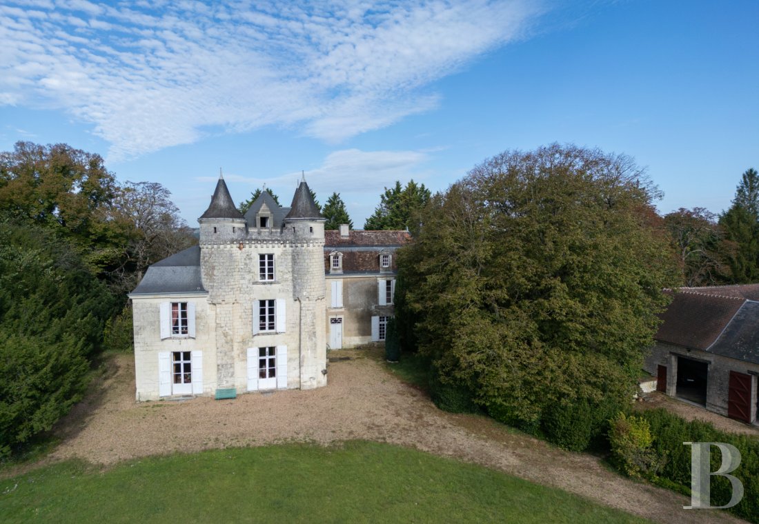 chateaux for sale France poitou charentes   - 2