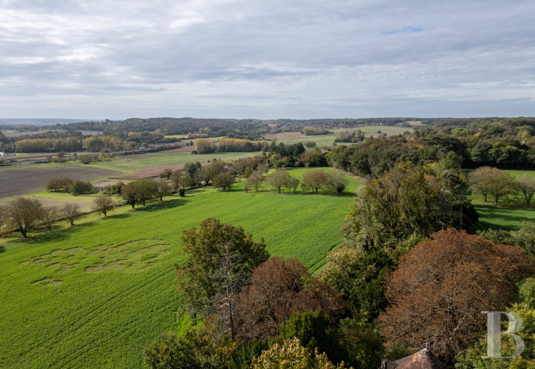 chateaux for sale France poitou charentes   - 15