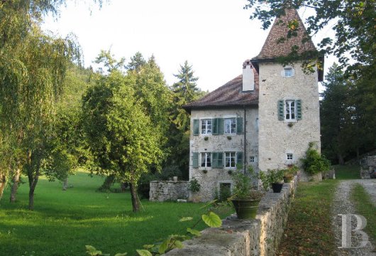 chateaux for sale France rhones alps   - 2