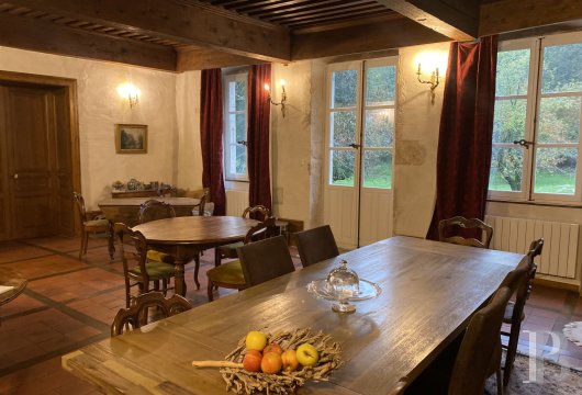 chateaux a vendre rhones alpes   - 10