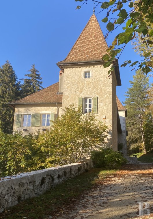 chateaux for sale France rhones alps   - 2