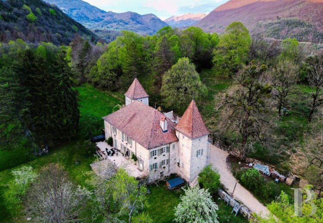 chateaux for sale France rhones alps   - 1