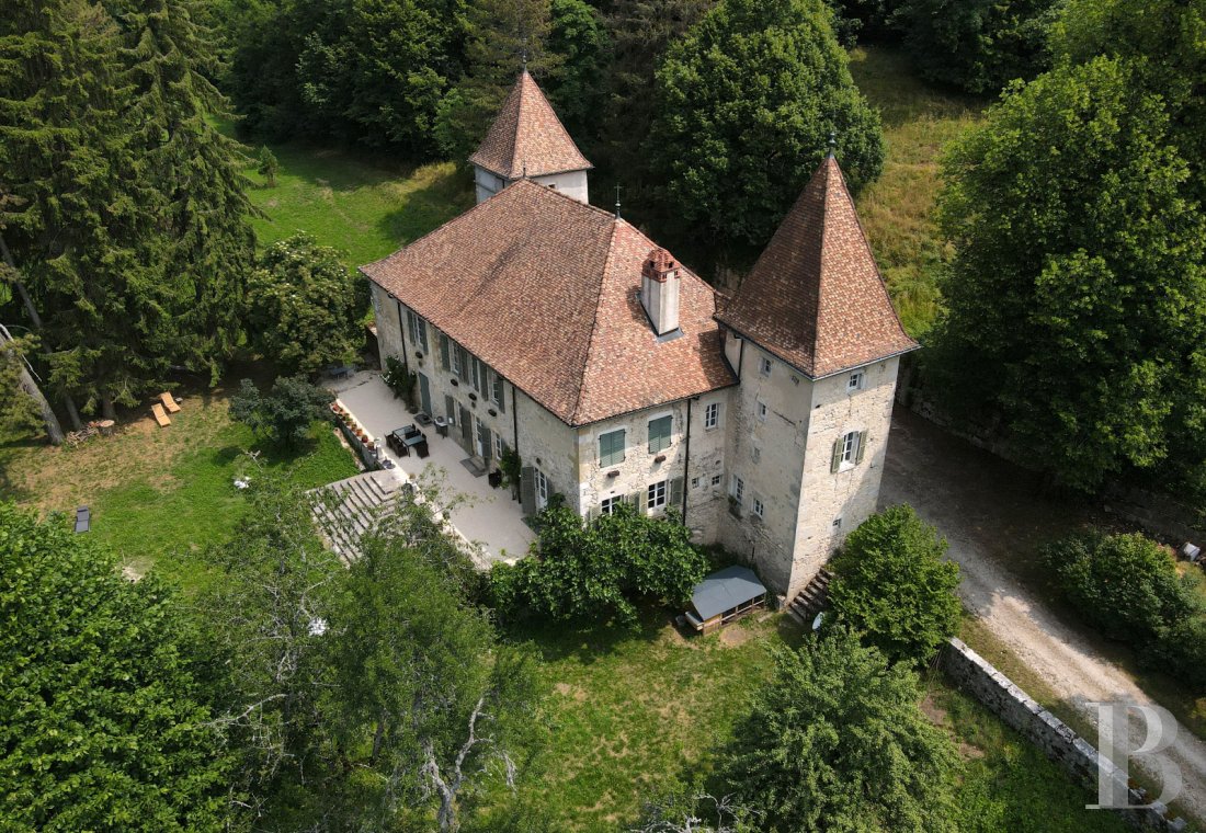 chateaux for sale France rhones alps   - 1