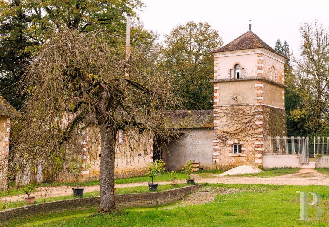 chateaux for sale France burgundy   - 26