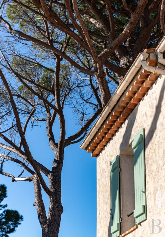 character properties France provence cote dazur   - 3