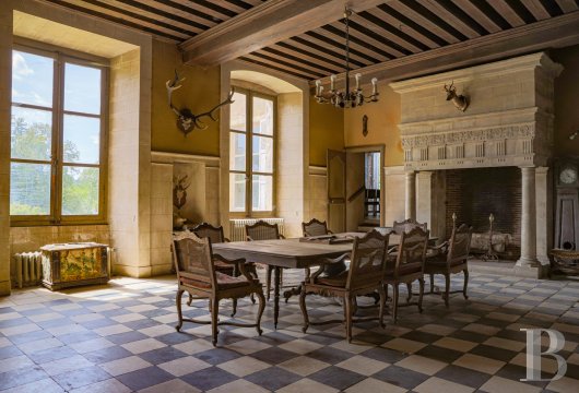 chateaux for sale France pays de loire   - 11