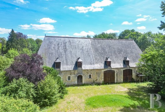 chateaux for sale France pays de loire   - 19