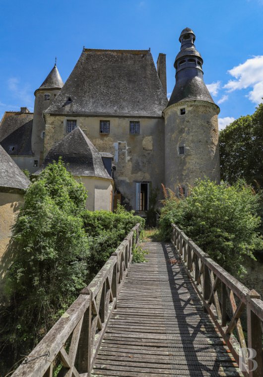 chateaux for sale France pays de loire   - 20