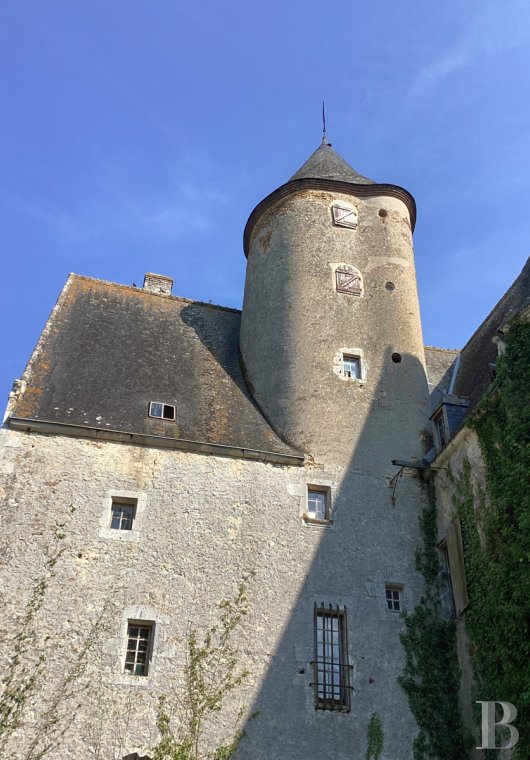 chateaux for sale France pays de loire   - 7