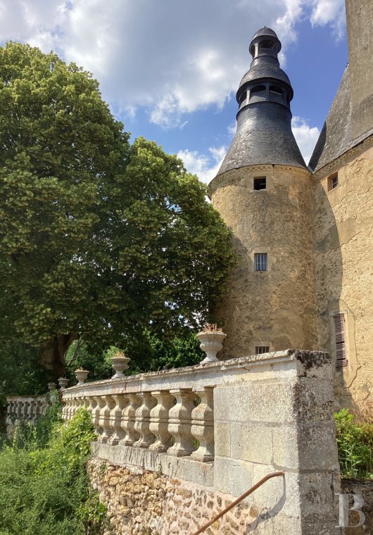 chateaux for sale France pays de loire   - 4