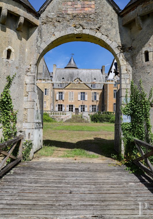 chateaux for sale France pays de loire   - 8