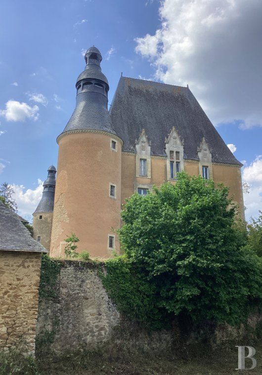 chateaux for sale France pays de loire   - 6