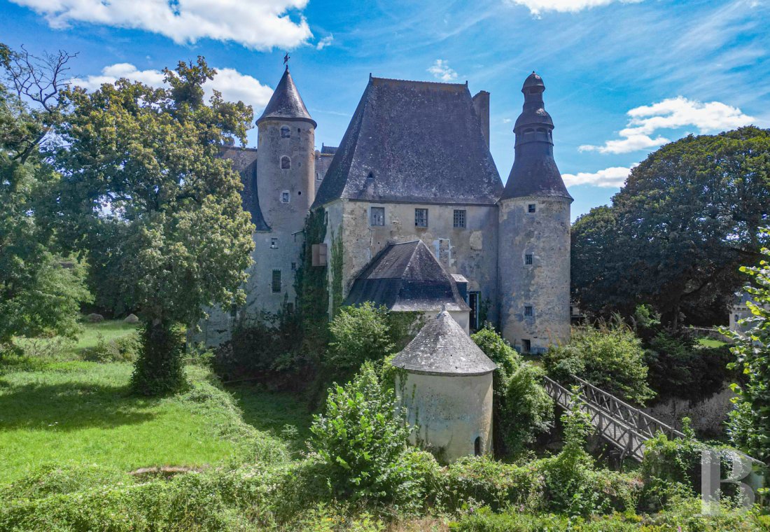 chateaux for sale France pays de loire   - 2