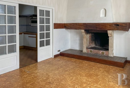 properties in town pays de loire   - 3