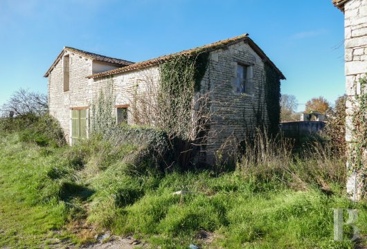 France mansions for sale poitou charentes   - 9