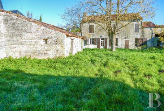 France mansions for sale poitou charentes   - 3