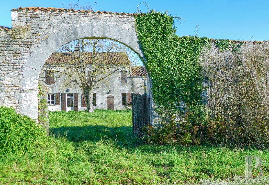 France mansions for sale poitou charentes   - 2