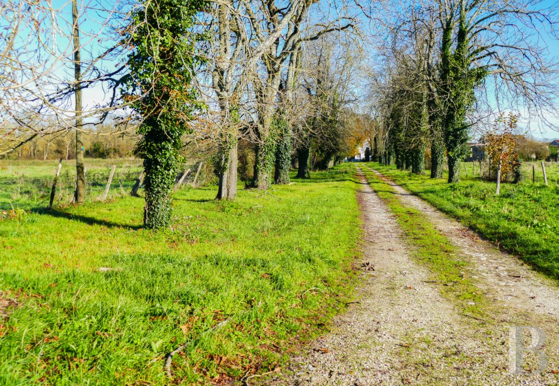 France mansions for sale poitou charentes   - 12