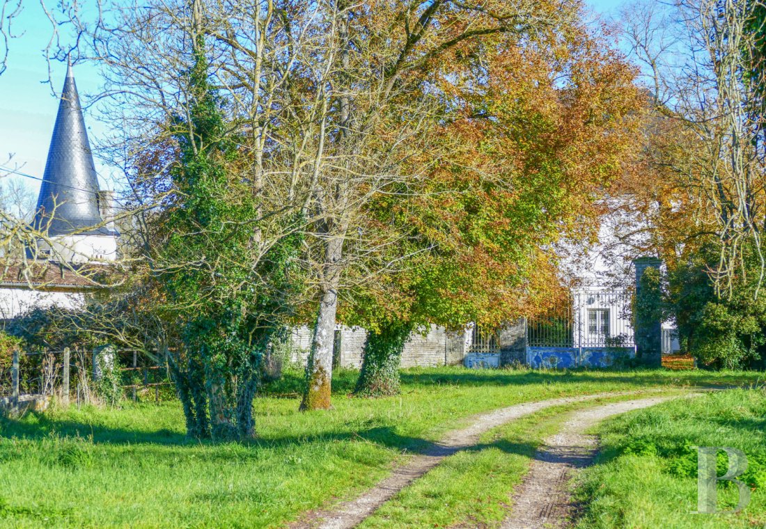 France mansions for sale poitou charentes   - 1