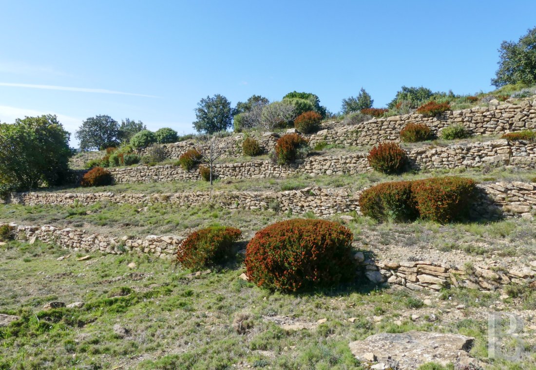 character properties France provence cote dazur   - 12