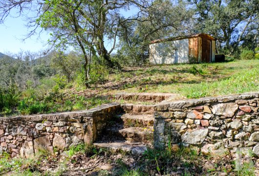 character properties France provence cote dazur   - 9