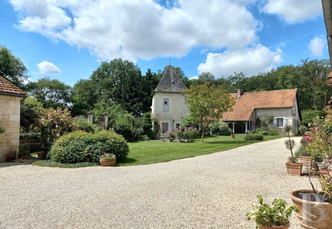 France mansions for sale center val de loire   - 14